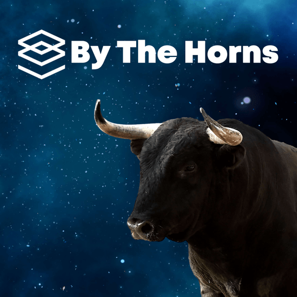 By The Horns: A Bitcoin podcast about South Africa