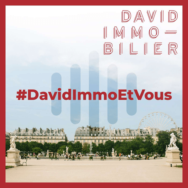 David Immobilier