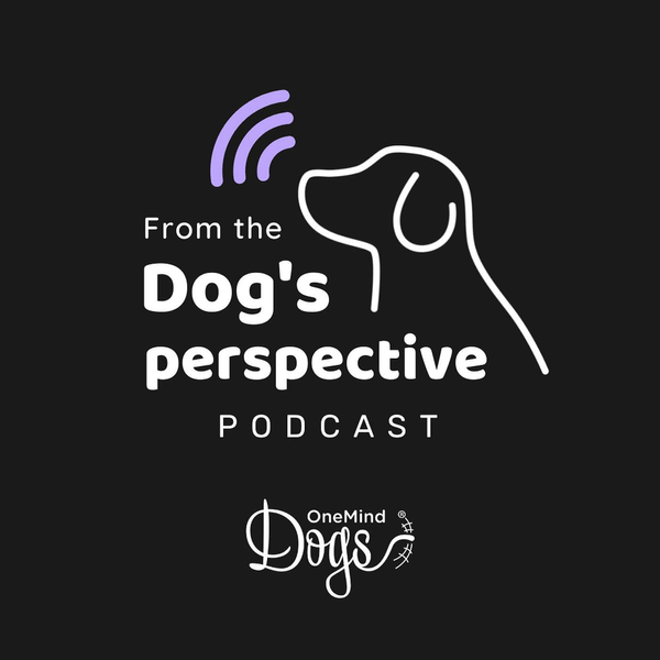 OneMind Dogs - From the Dog's Perspective