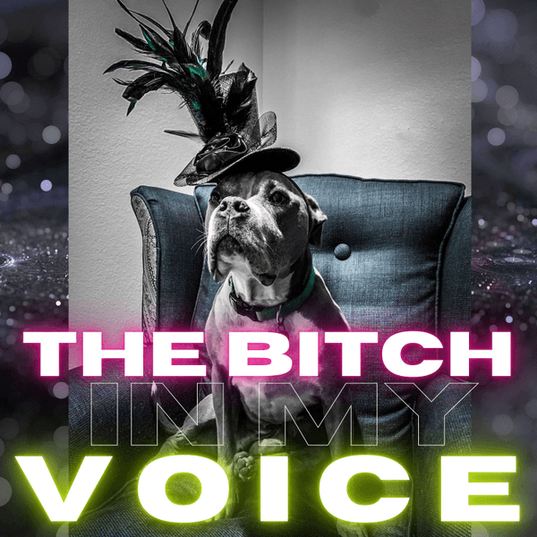 The Bitch in My Voice