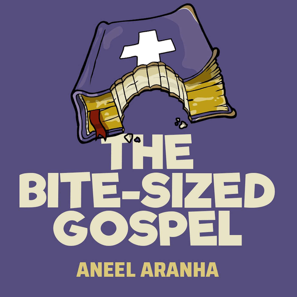 The Bite-Sized Gospel with Aneel Aranha