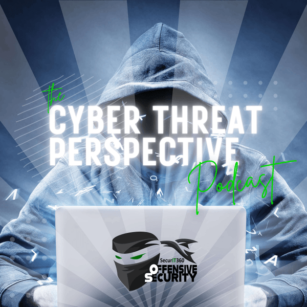 The Cyber Threat Perspective