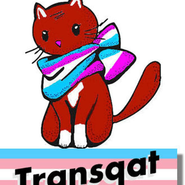 Transqat