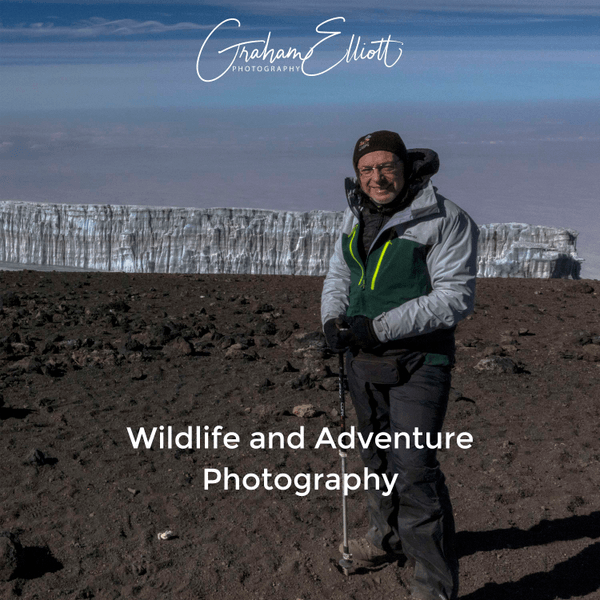 Wildlife and adventure photography