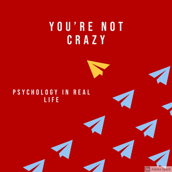 You're Not Crazy: Psychology in Real Life